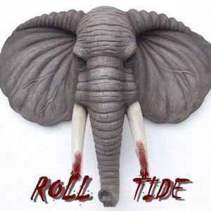 Meet your Posher, Lamar